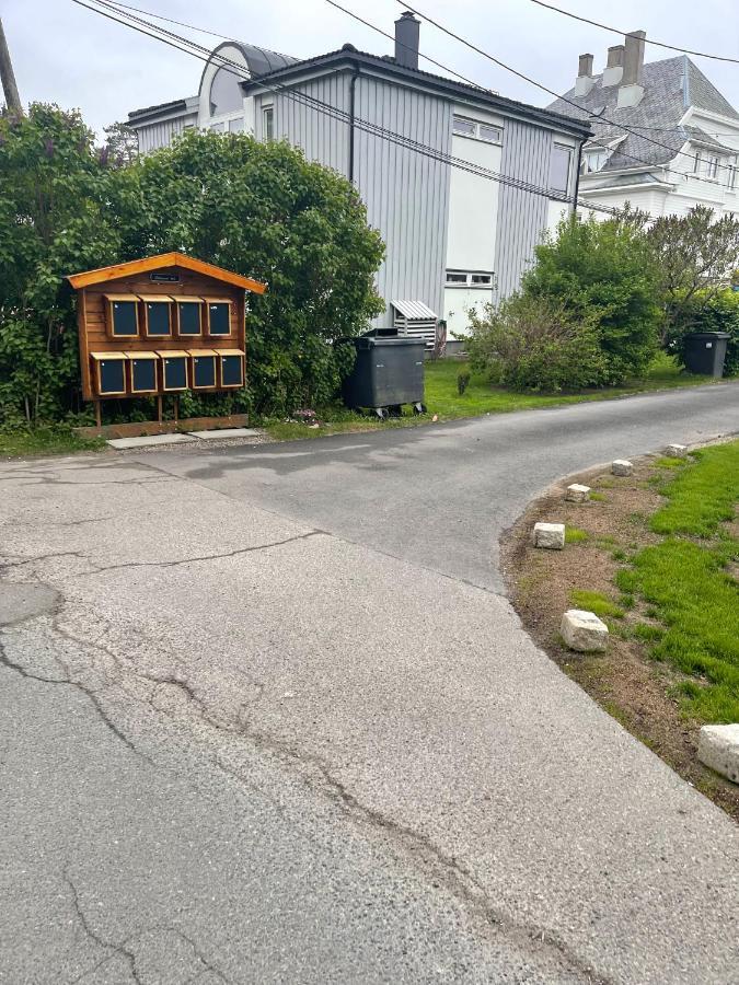 With1 Bedroom Separate Living With A Sofa Bed And A Tiny Kitchen A Bathroom Located In Nordstrand Near By The Sea For 3 Guests With A Garden And Grill 5 Extra Guests With Extra Cost In The With Sea View Just Outside The Apar Appartamento