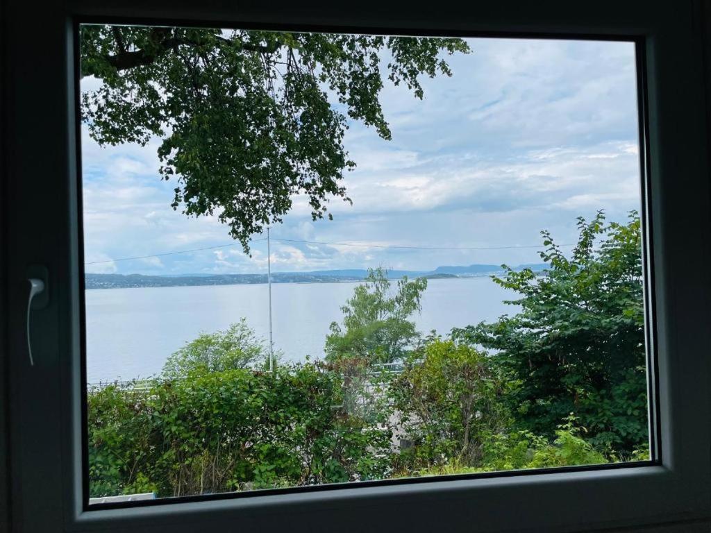 With1 Bedroom Separate Living With A Sofa Bed And A Tiny Kitchen A Bathroom Located In Nordstrand Near By The Sea For 3 Guests With A Garden And Grill 5 Extra Guests With Extra Cost In The With Sea View Just Outside The Apar *
